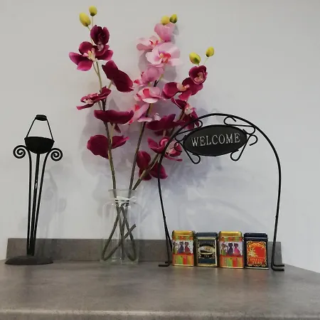 Pannonia Center Deluxe Apartmán Budapešť