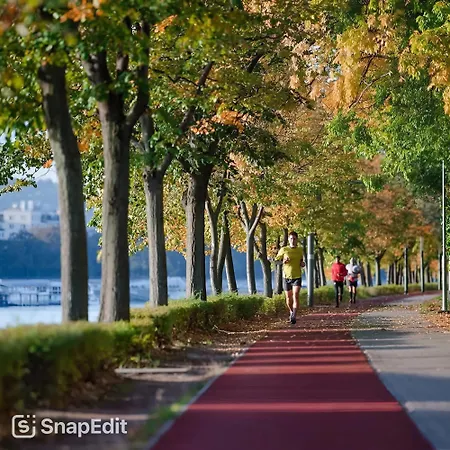 Pannonia Center Deluxe Lägenhet Budapest